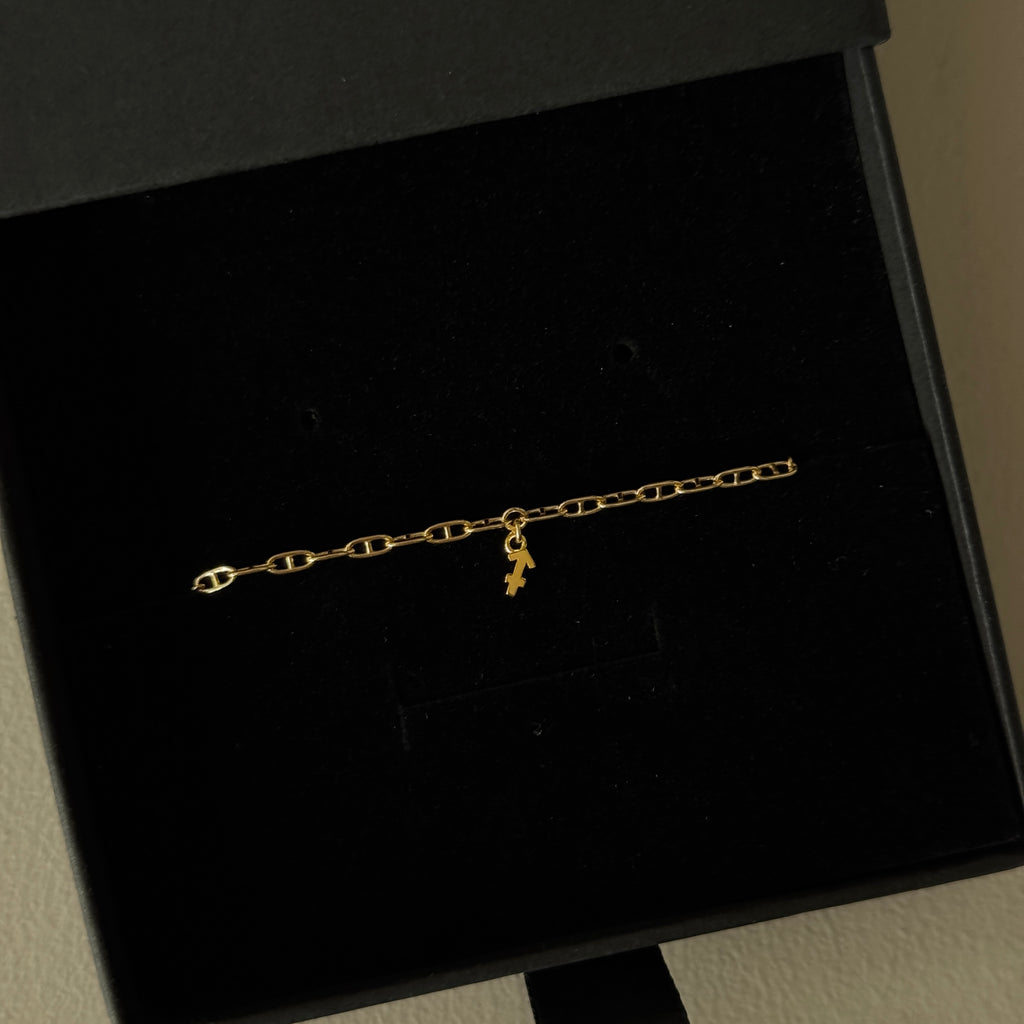 Gold Vermeil Zodiac Charm with Gold Filled Chain Anklet