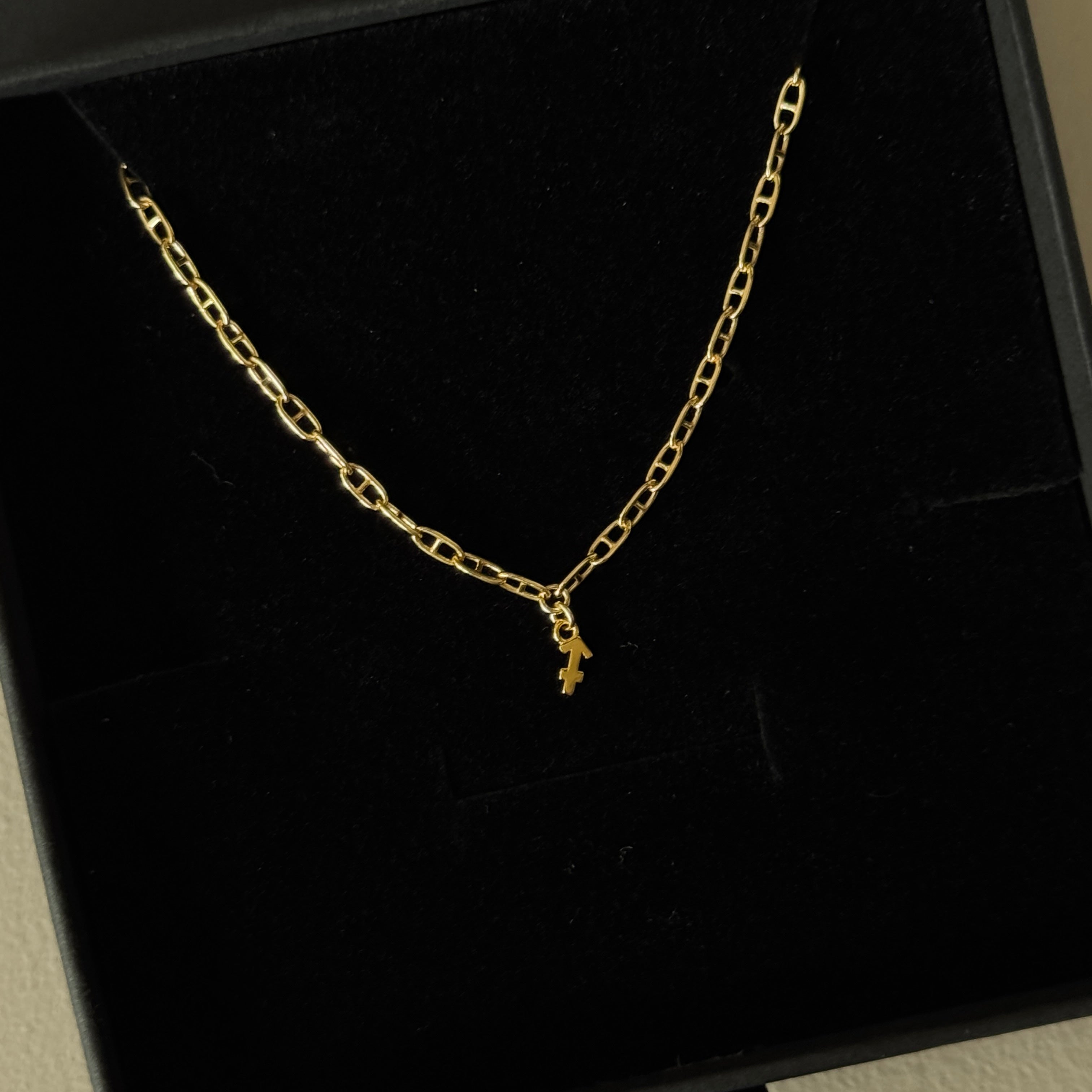 Gold Vermeil Zodiac Charm with Gold Filled Chain Necklace