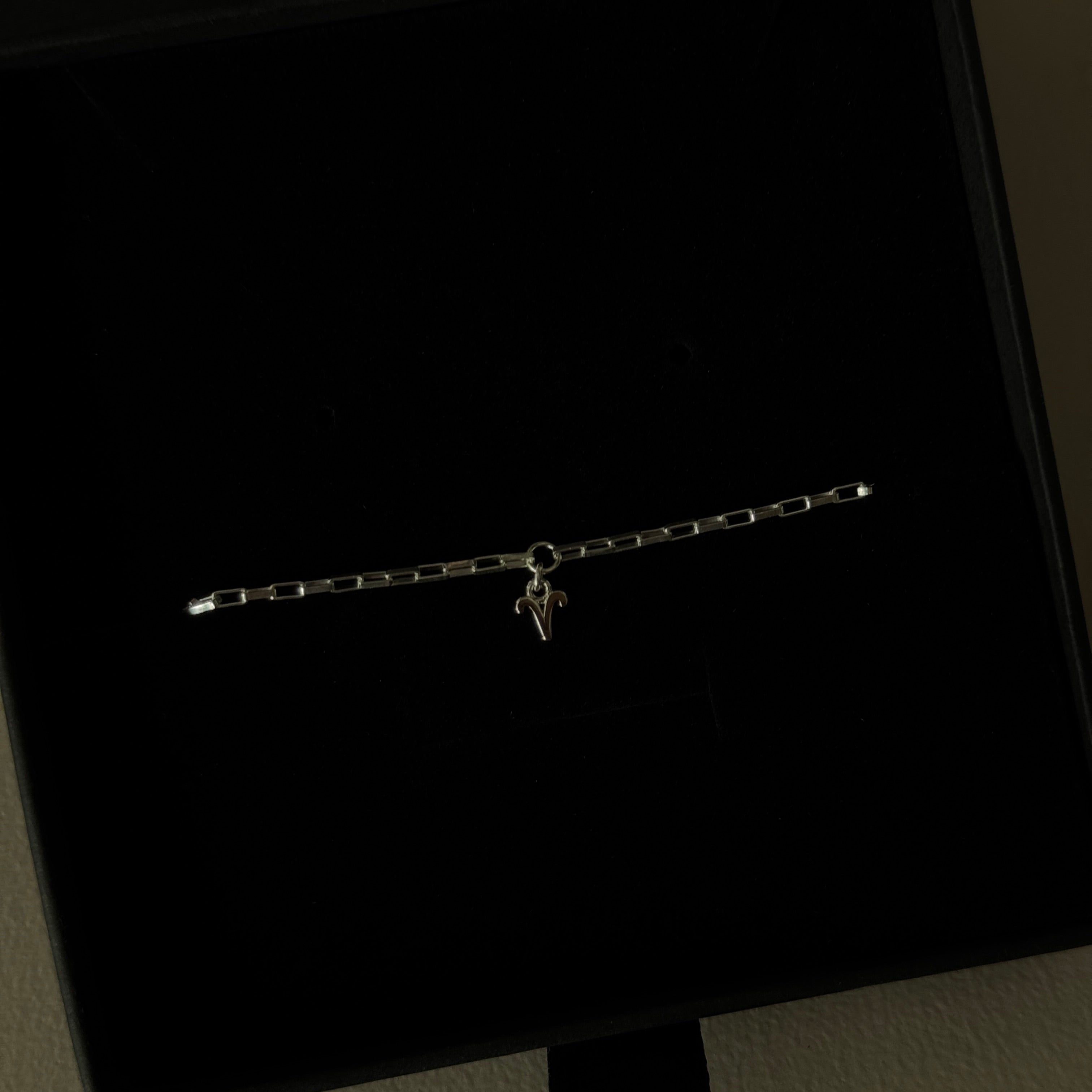 Sterling Silver Zodiac Charm Chain Bracelet